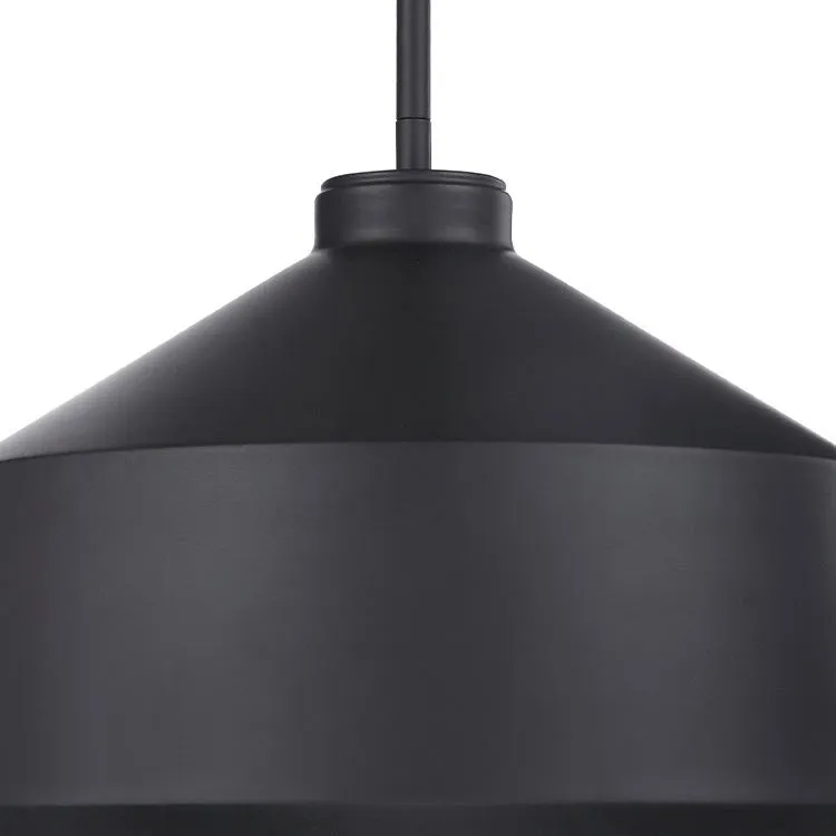 Holgate Single-Light Black Pendant by Kalizma Home