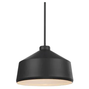Holgate Single-Light Black Pendant by Kalizma Home