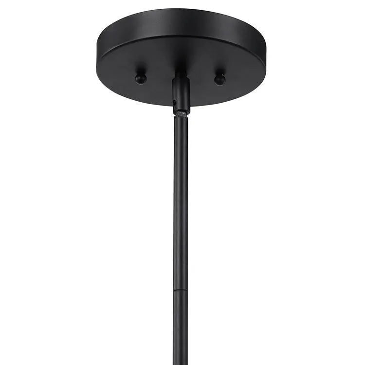 Holgate Single-Light Black Pendant by Kalizma Home