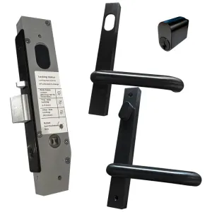 LOCKTON 23mm Mortice Lock Matte Black (ENTRANCE)