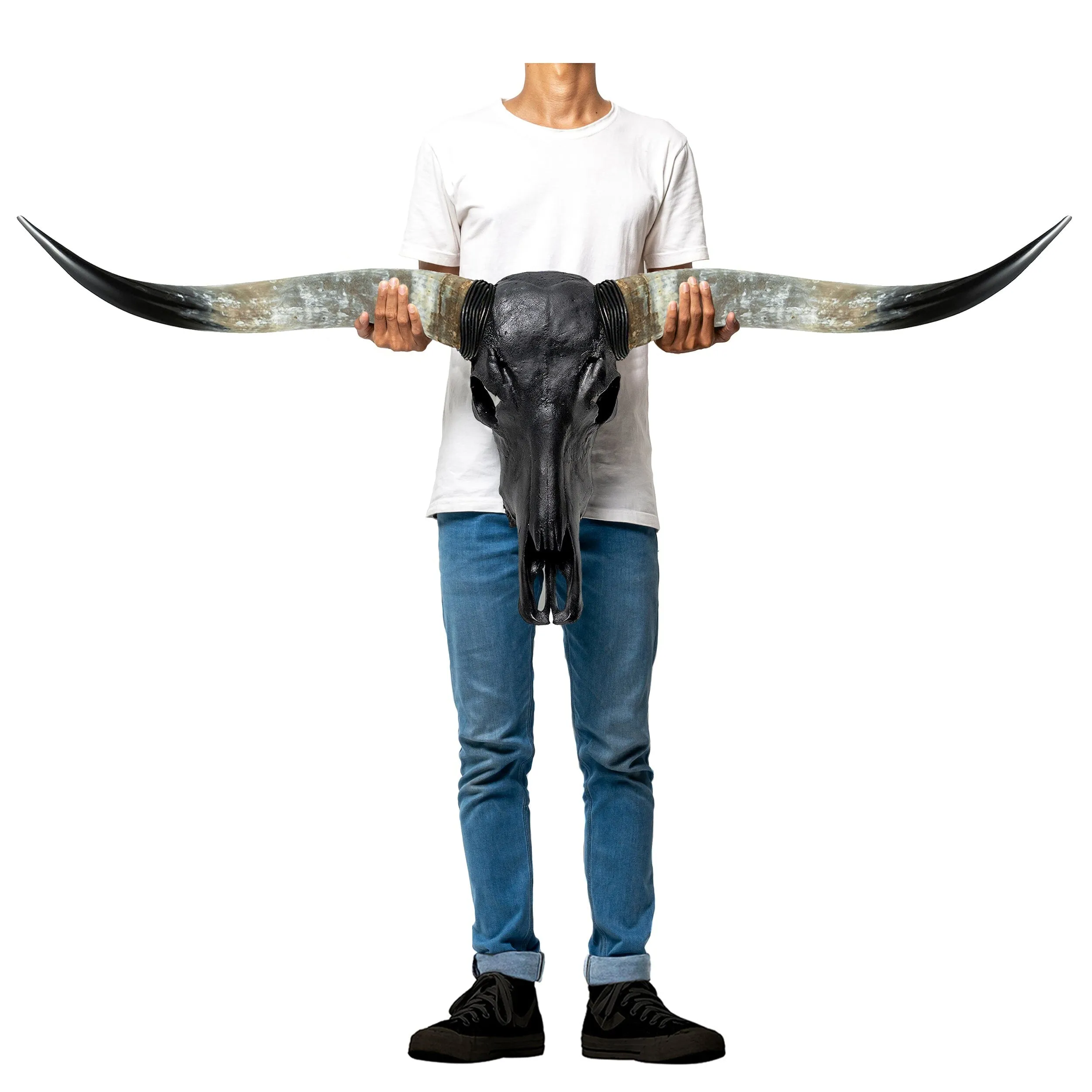 Longhorn Skull - Matte Black Storm