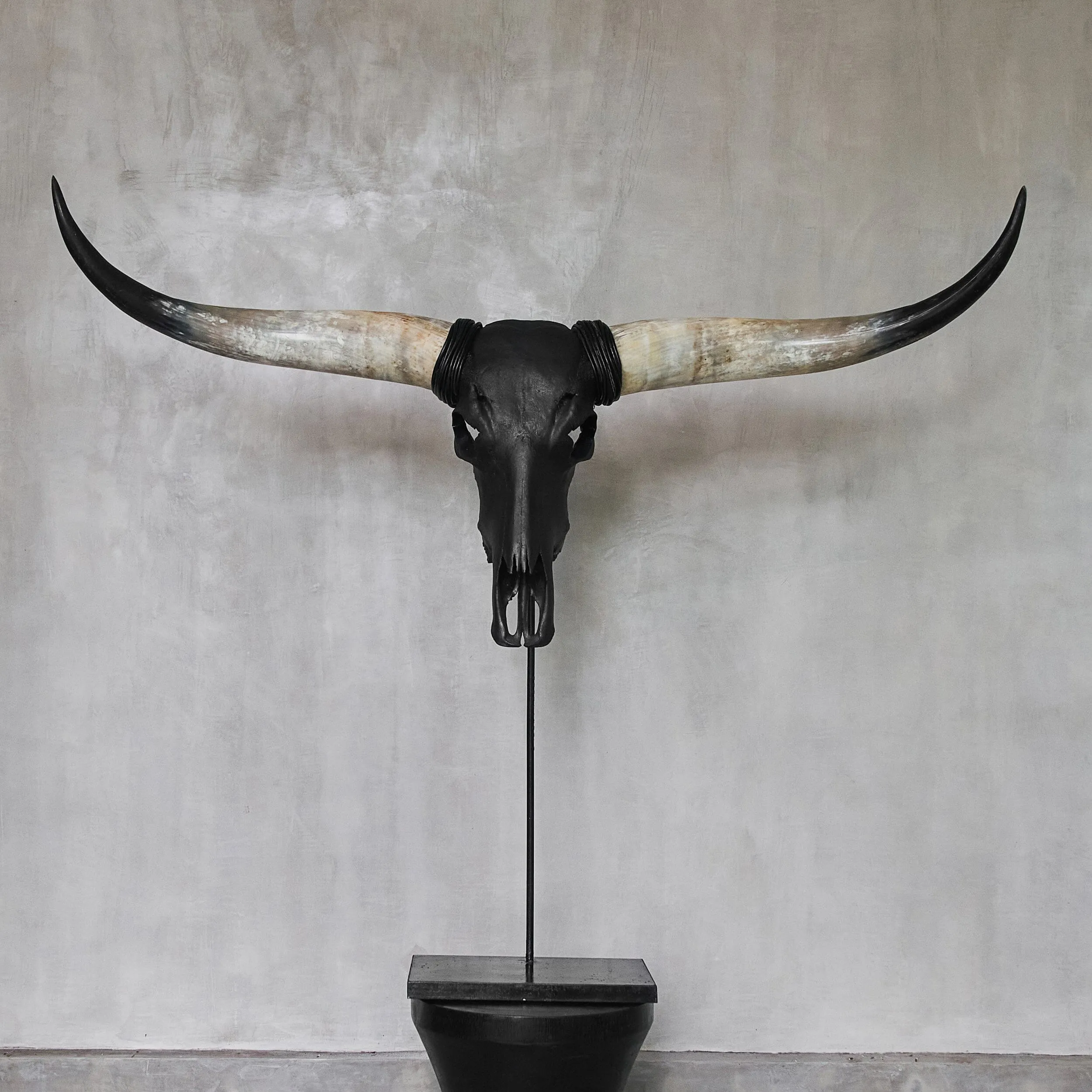Longhorn Skull - Matte Black Storm