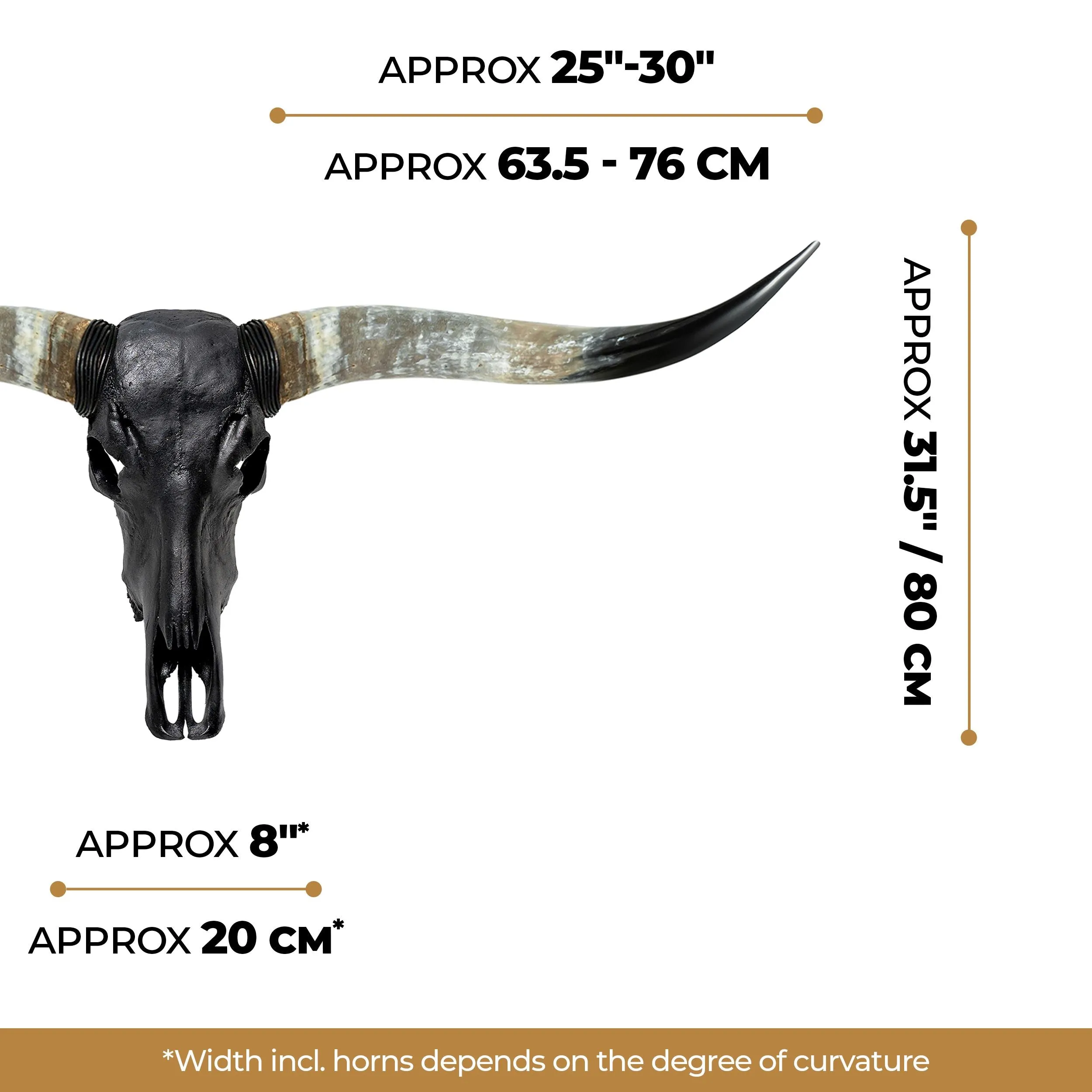 Longhorn Skull - Matte Black Storm