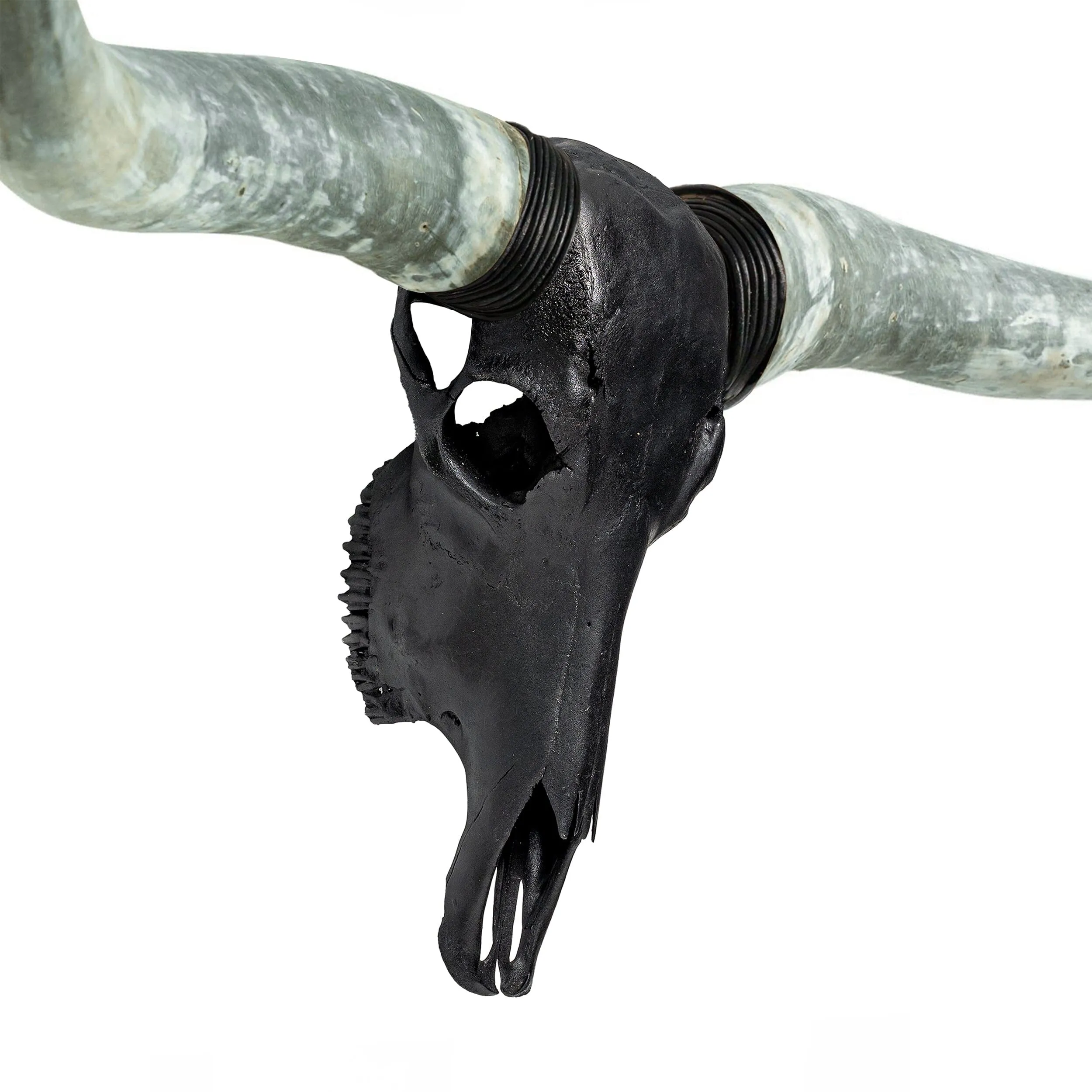 Longhorn Skull - Matte Black Storm